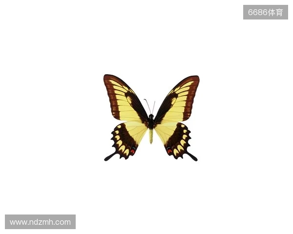 破茧成蝶:Legacy如何登顶南美、跻身世界顶尖行列